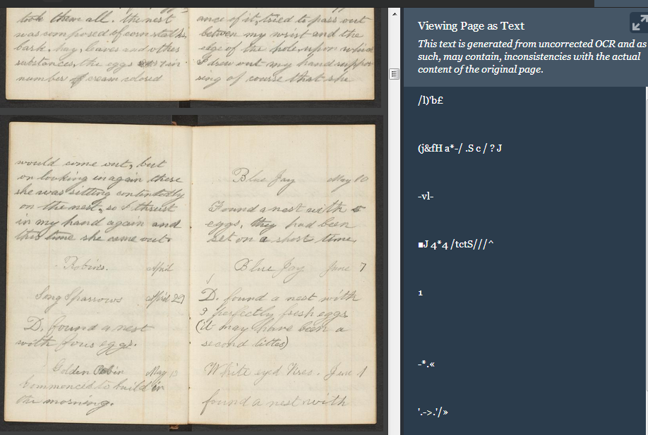 brewster diaries field book sample