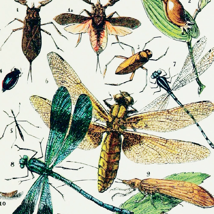 Foundations to Actions