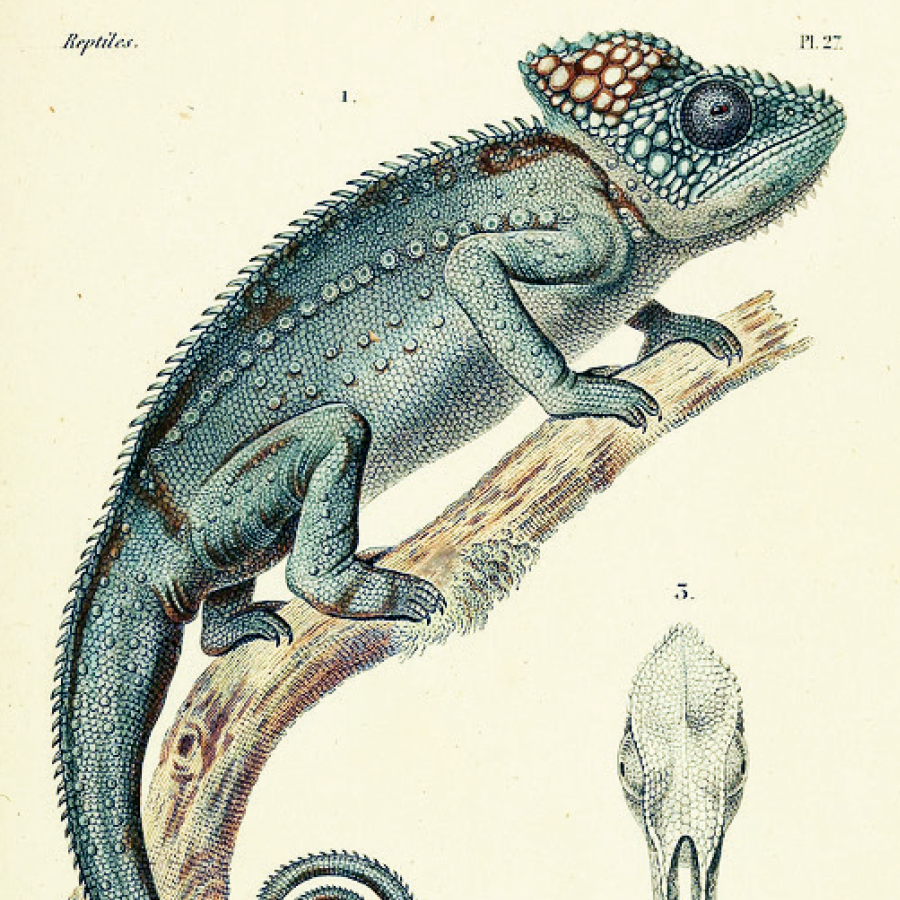 digital imaging specifications