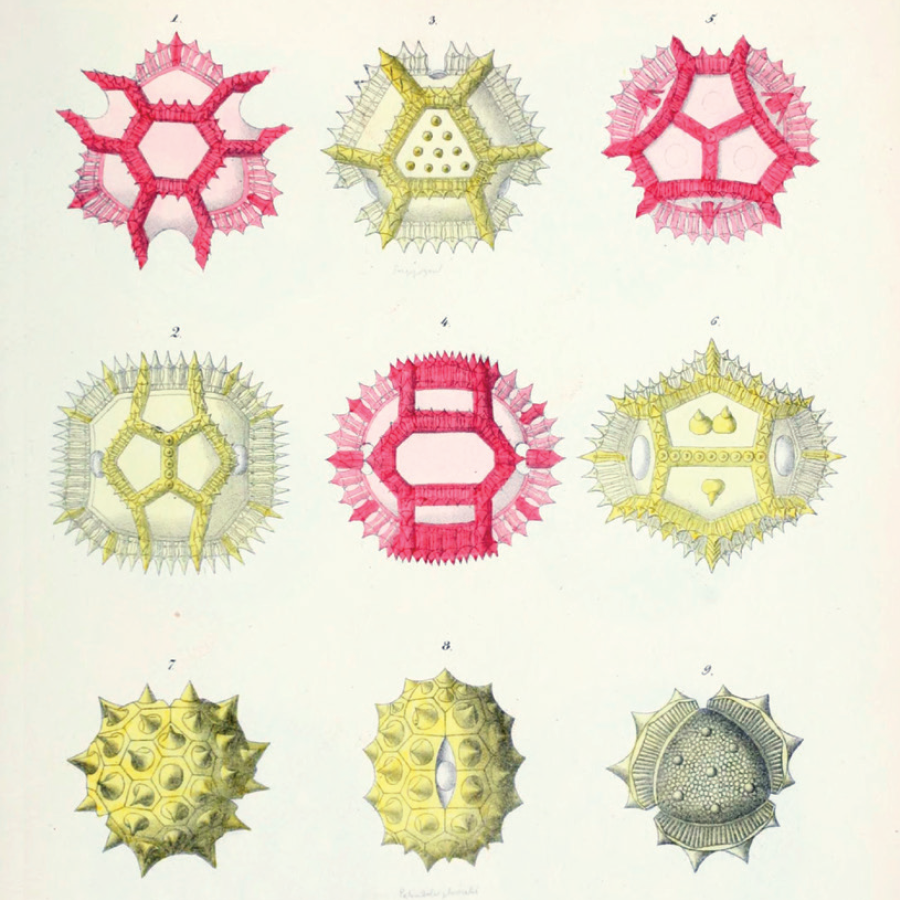 developer and data tools