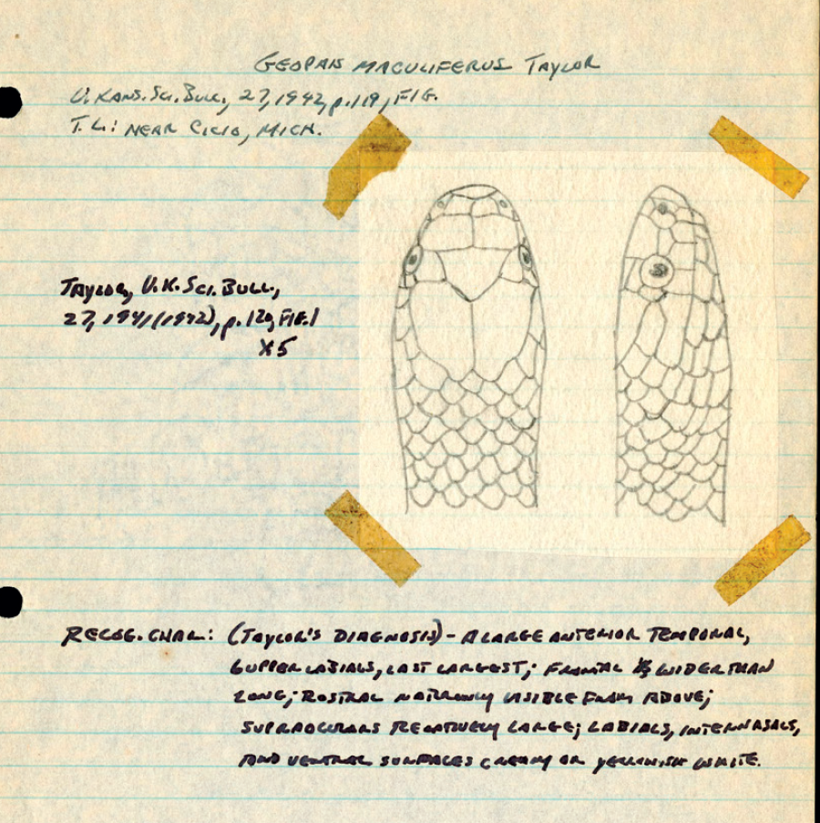 The Field Book Project