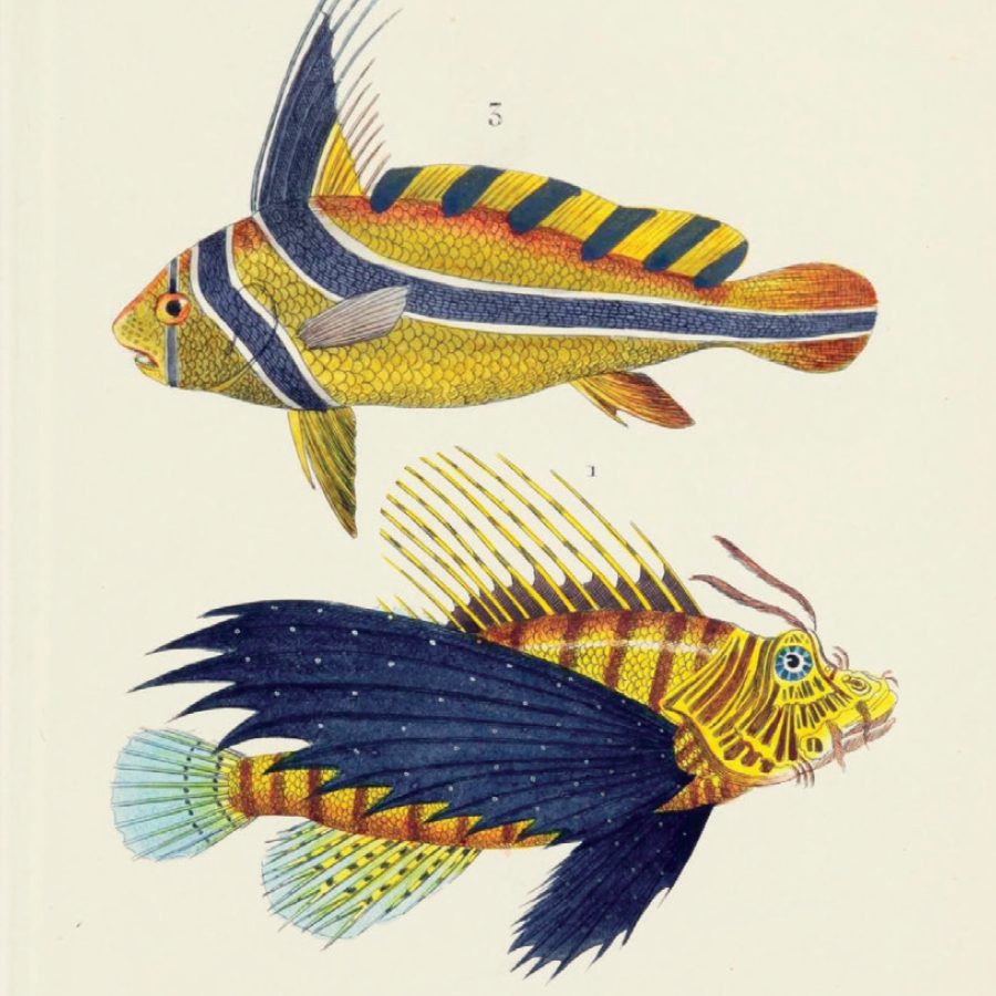 reference management