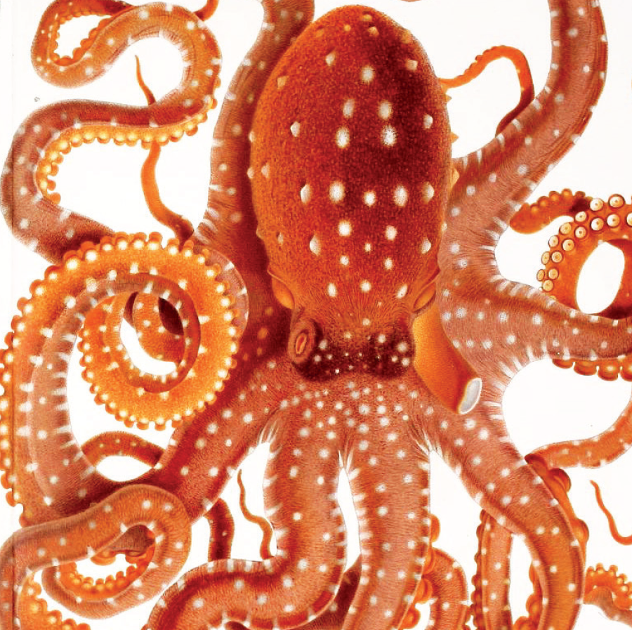 promotional materials