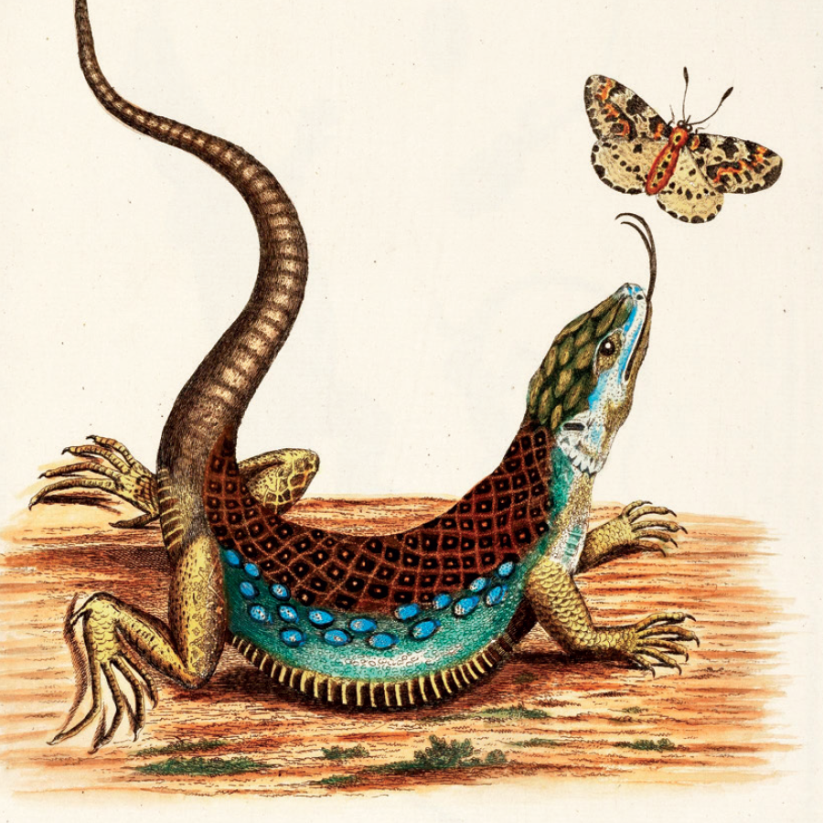 Global Names Project