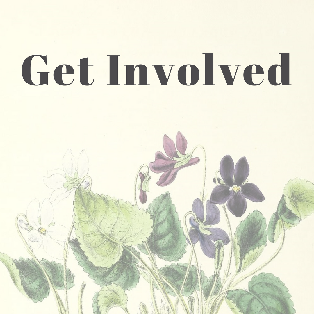 Get Involved