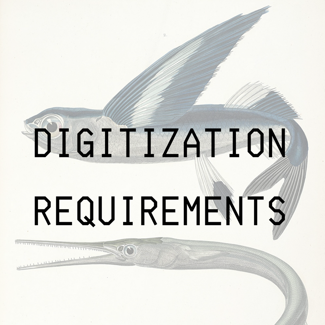 Digitization Requirements