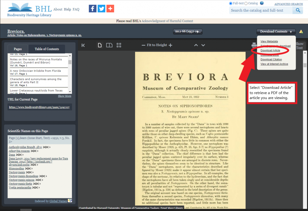 Screenshot of the Biodiversity Heritage Library book viewer showing options in the download contents dropdown menu.