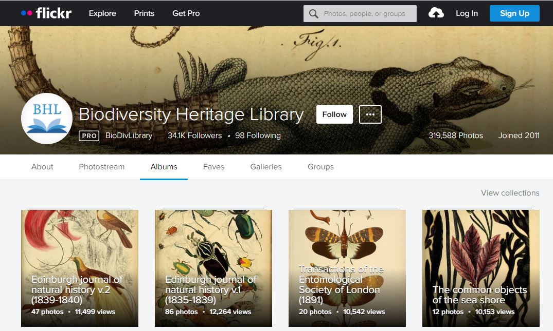 Screenshot of BHL flickr photostream