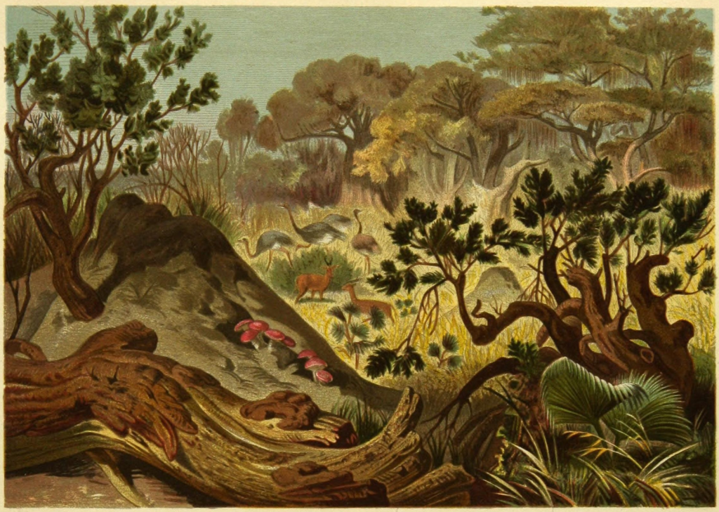 Plate 16 from Die Insekten, Tausendfüssler und Spinnen 1877